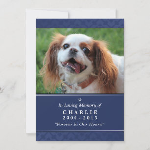 Convites Pet Memorial Card 5"x7" Marinho Foto Azul