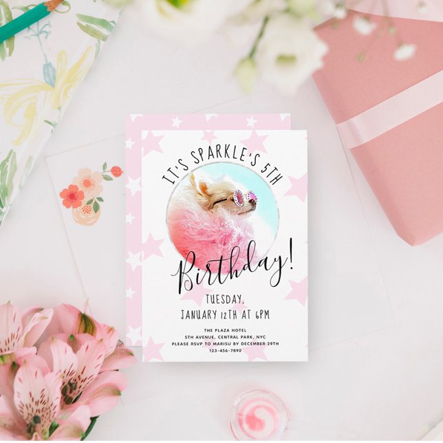 Convites Pet Star | Estrelas para Festas de aniversário de  (Criador carregado)