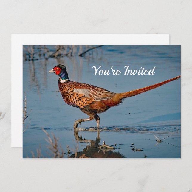 Convites Pheasant Blue Water Photo Birthday (Frente/Verso)
