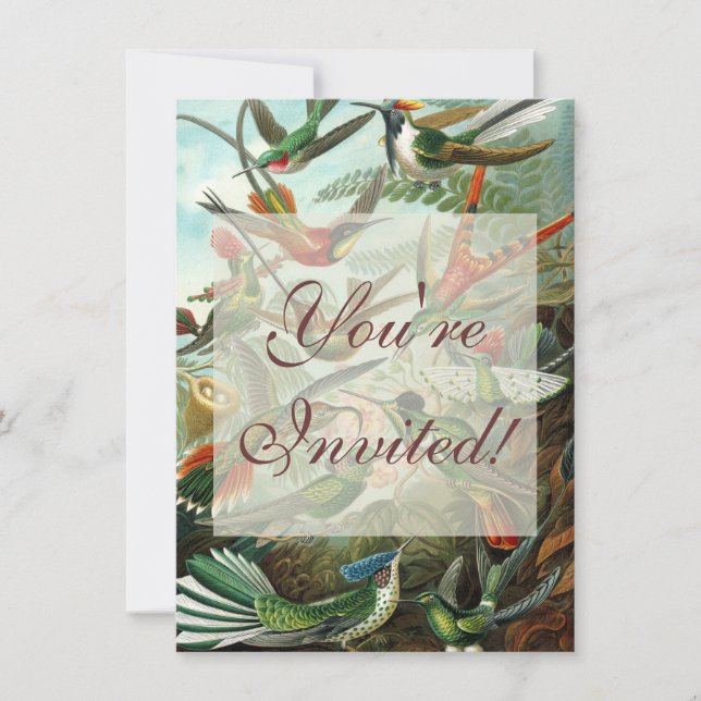 Convites pintura clássica da fauna selvagem de beija-flor (Frente)