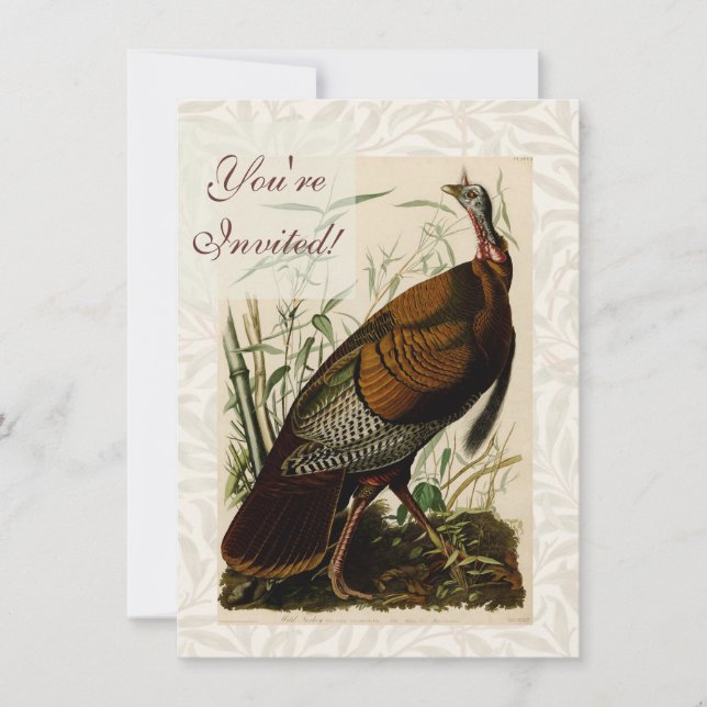 Convites Pintura de peru selvagem de Audubon (Frente)