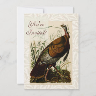 Convites Pintura de peru selvagem de Audubon