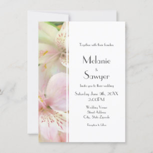 Convites Pintura Soft Alstromera