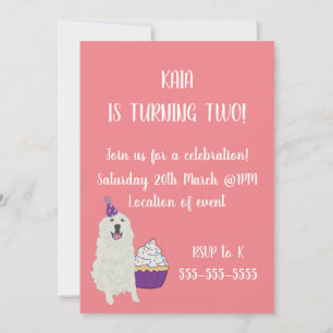 Convites Pirenéus de Excelente Personalizáveis Aniversár