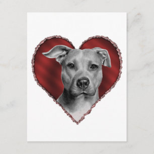Convites Pit Bull com coração