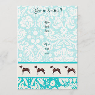 Convites Pitbull; Cuta