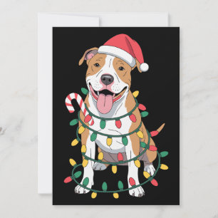 Convites Pitbull de Natal Cachorro Chapéu do Papai Noel Luz