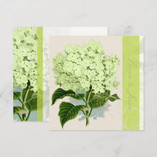 Convites PixDezines Hydrangea verde da safra
