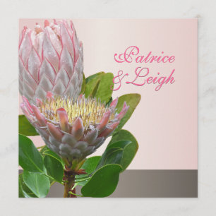 Convites PixDezines Maui protea fresca rosa pálido/escuro