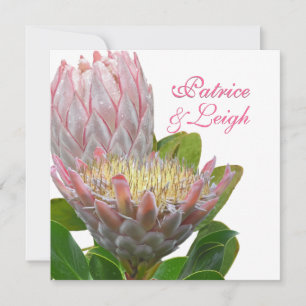 Convites PixDezines Maui protea fresca rosa pálido/escuro