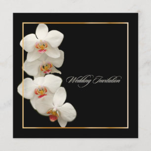 Convites PixDezines orquídeas/phalaenopsis
