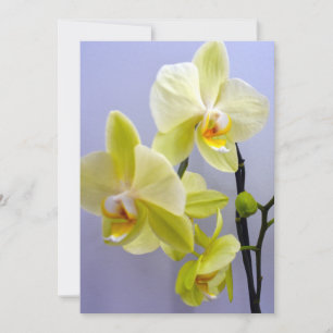 Convites Placa de saudação Dentro Orquídea Amarela para qua