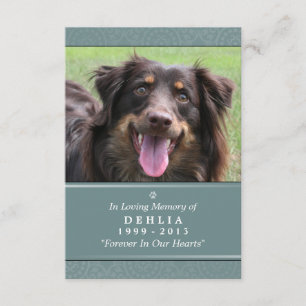 Convites Placa Memorial Pet 3.5x5 Teal - Não Chame Poema