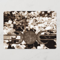 Placa Sentimental Dogwood Tripla Moon HandFixing