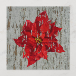 Convites Poinsettia Winter / Casamento de Natal