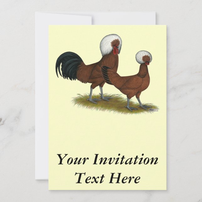 Convites Polonês: White Crested Reds (Frente)