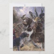 Ponteiro alemão Wirehaired