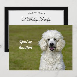 Convites Poodle White Dog Photo Birthday
