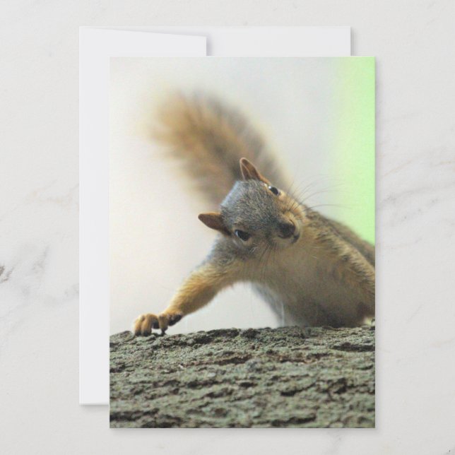 Convites Poof (Frente)