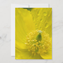 Convites Poppy amarelo oriental