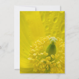 Convites Poppy amarelo oriental