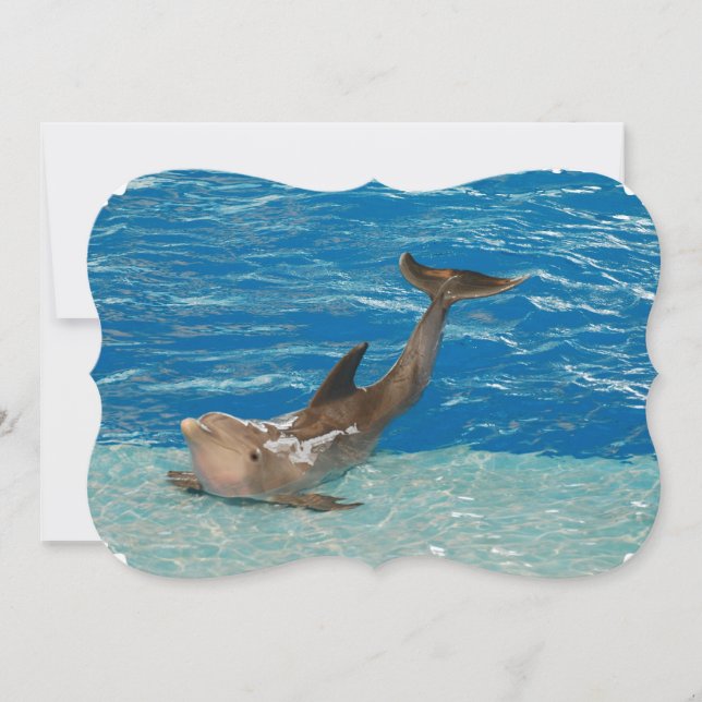 Convites Pose do golfinho (Frente)