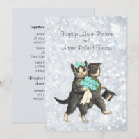 Posh Cats Aqua -Silver Sparkle Casation