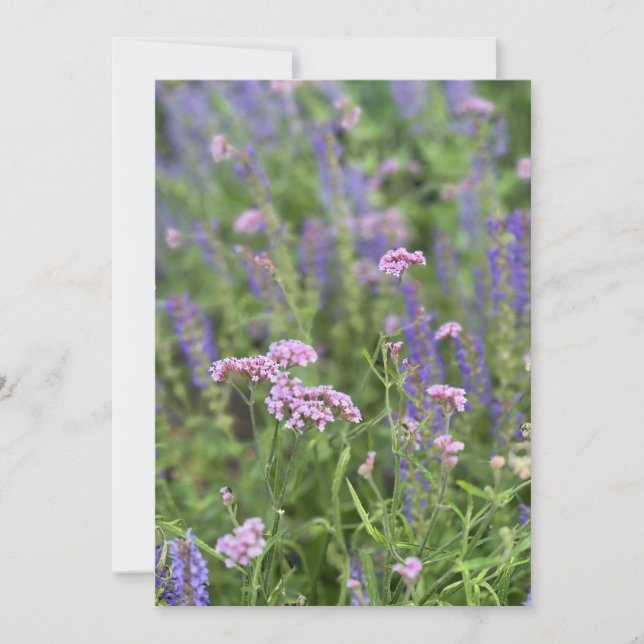 Convites Post card  (Frente)