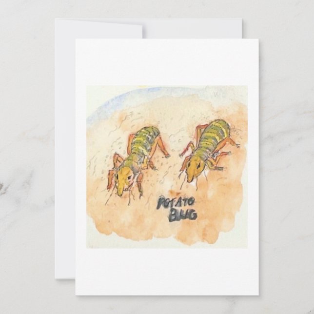 Convites Potato Bug Greeting Card (Frente)