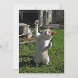 Convites Predador feroz