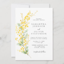 Primavera Amarelo Mimosa Wattle Flowers Casamento