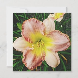 Convites Primavera Blooms