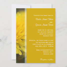 Convites Primavera de flores de dandelion selvagens, verão,