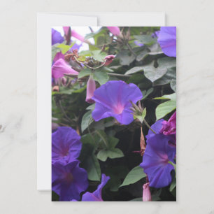 Convites Primavera Morning Glories in Blue