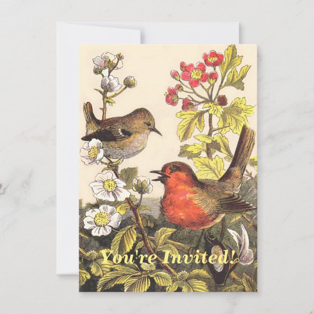 Convites Primavera Robin Birds Red Birds (Frente)