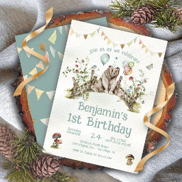 Convites Primeiro aniversario do Urso da Floresta de Madeir