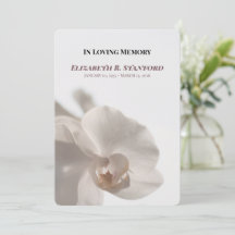 Programa Memorial de Orquídea Branca Minimalista