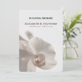Convites Programa Memorial de Orquídea Branca Minimalista