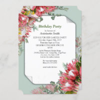 Protea - Flor Estrelitzia Aniversário