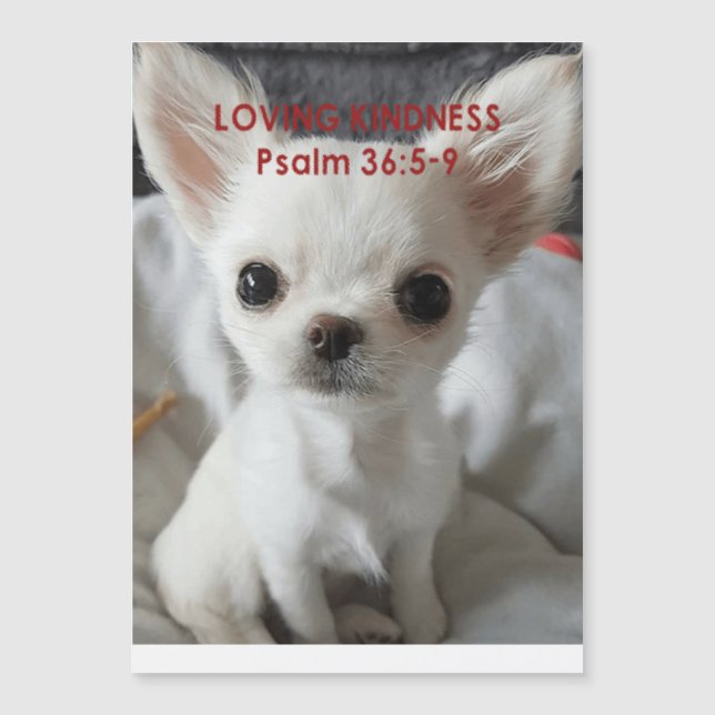 Convites Psalm 36 Chihuahua (Frente)