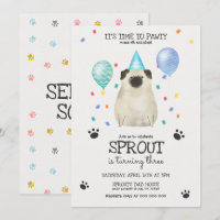 Pug Deixa Cachorro Pawty Convidar Azul