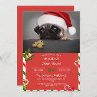 Pug Natal
