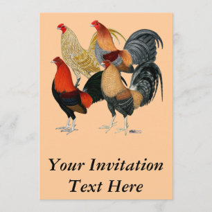 Convites Quatro Gamecocks