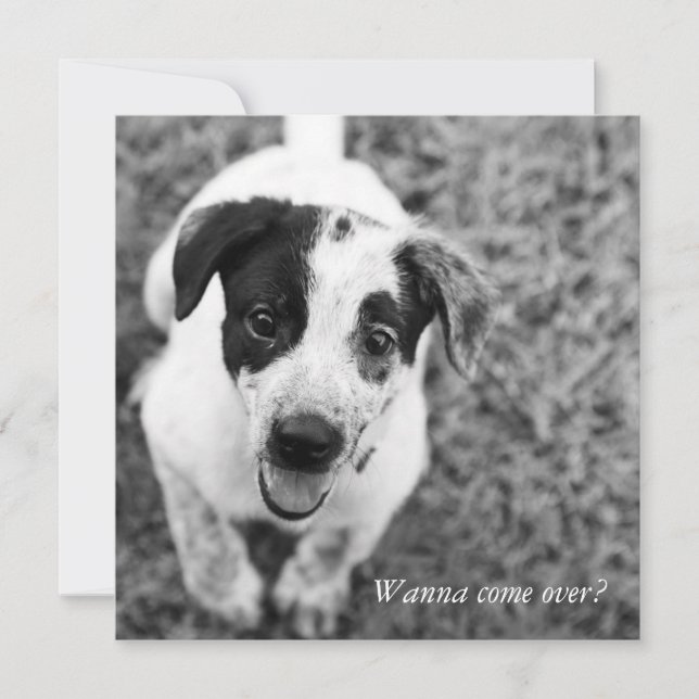 Convites Quer vir? (Frente)