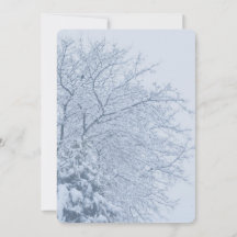 Ramos de Árvore Nevados de Inverno