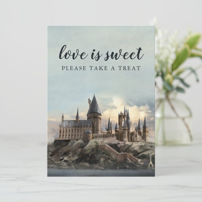 Convites Recepção de Casamento Harry Potter Por Favor, Pegu (Em pé/Frente)