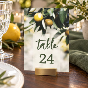 Convites Recepção de Casamento Tuscano com Limões Vibrantes