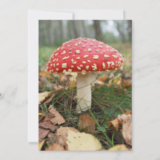 Convites Red Fly Agaric Invitation