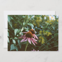 Convites Reimpressão de Foto de Abelha e Coneflower
