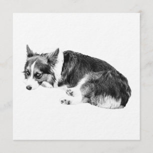 Convites Reúna Corgi, Noite Aconchegante